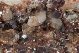Spessartine Garnets With Smoky Quartz On Feldspar - China #360469-1